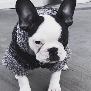 Meet your Posher, Rylan